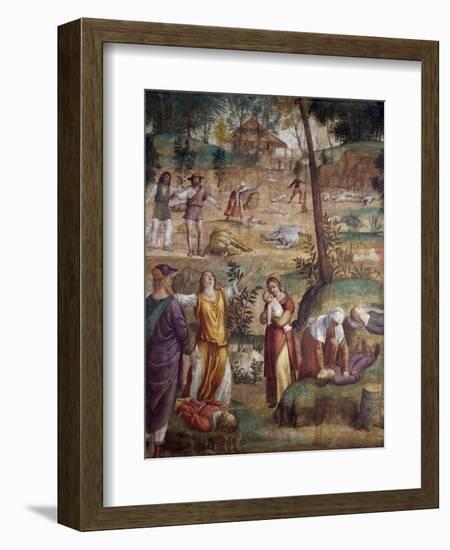 The Death of the Firstborn-Bernardino Luini-Framed Giclee Print