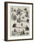 The Debate on Mr Parnell's Bill in the House of Commons-Sydney Prior Hall-Framed Giclee Print