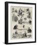 The Debate on Mr Parnell's Bill in the House of Commons-Sydney Prior Hall-Framed Giclee Print