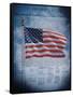 The Declaration of Independence-null-Framed Stretched Canvas