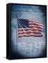 The Declaration of Independence-null-Framed Stretched Canvas