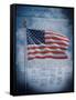 The Declaration of Independence-null-Framed Stretched Canvas