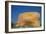 The Decorated Feet of the Mya Tha Lyaung Reclining Buddha One of the Largest in the World-Tuul-Framed Photographic Print