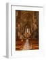 The Decorated Nave of Notre Dame De Fourviere, Lyon, Rhone, Rhone-Alpes, France, Europe-Mark Sunderland-Framed Photographic Print