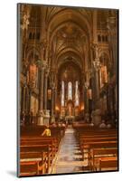 The Decorated Nave of Notre Dame De Fourviere, Lyon, Rhone, Rhone-Alpes, France, Europe-Mark Sunderland-Mounted Photographic Print