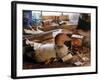 The Decoy-null-Framed Photographic Print