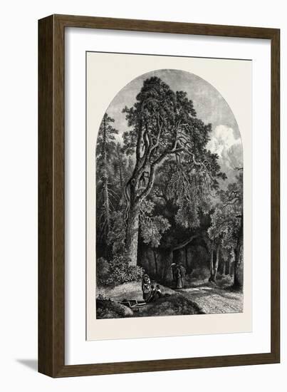 The Deer Garden, Stockholm, Sweden, 19th Century-null-Framed Giclee Print