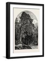 The Deer Garden, Stockholm, Sweden, 19th Century-null-Framed Giclee Print