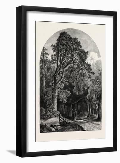 The Deer Garden, Stockholm, Sweden, 19th Century-null-Framed Giclee Print