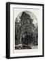 The Deer Garden, Stockholm, Sweden, 19th Century-null-Framed Giclee Print