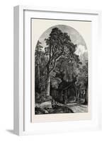 The Deer Garden, Stockholm, Sweden, 19th Century-null-Framed Giclee Print