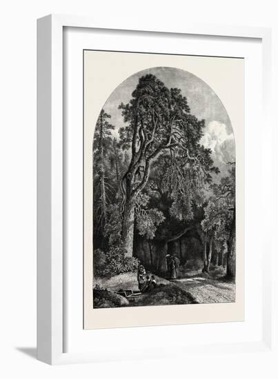 The Deer Garden, Stockholm, Sweden, 19th Century-null-Framed Giclee Print