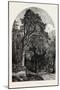 The Deer Garden, Stockholm, Sweden, 19th Century-null-Mounted Giclee Print