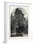 The Deer Garden, Stockholm, Sweden, 19th Century-null-Framed Giclee Print