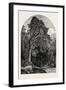 The Deer Garden, Stockholm, Sweden, 19th Century-null-Framed Giclee Print