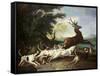 The Deer Hunt, 1718-Alexandre-Francois Desportes-Framed Stretched Canvas