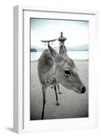 The Deer of Itsukushima-Takashi Kirita-Framed Art Print