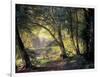 The Deer Park-Carl Frederic Aagaard-Framed Premium Giclee Print