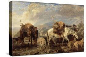 The Deer Stalker's Return, 1846-Richard Ansdell-Stretched Canvas