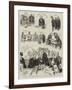 The Defeat of the Gladstone Ministry, Scenes in the House of Commons, Friday, 12th June-Sydney Prior Hall-Framed Giclee Print