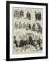 The Defeat of the Gladstone Ministry, Scenes in the House of Commons, Friday, 12th June-Sydney Prior Hall-Framed Giclee Print