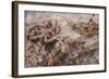 The Defeat of the Prussian Guard at Zonnebeke-Arthur C. Michael-Framed Giclee Print