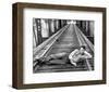 The Defiant Ones-null-Framed Photo