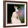 The Delicate Lady-Martine Roch-Framed Art Print