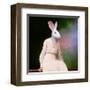 The Delicate Lady-Martine Roch-Framed Art Print