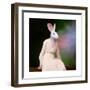 The Delicate Lady-Martine Roch-Framed Art Print