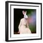 The Delicate Lady-Martine Roch-Framed Art Print