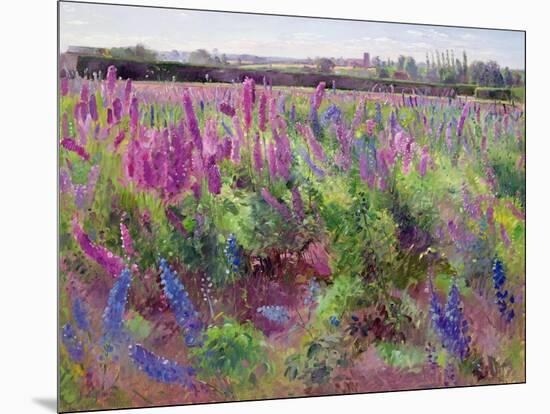 The Delphinium Field, 1991-Timothy Easton-Mounted Giclee Print