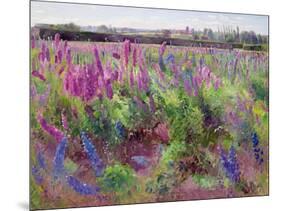 The Delphinium Field, 1991-Timothy Easton-Mounted Giclee Print