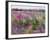 The Delphinium Field, 1991-Timothy Easton-Framed Giclee Print