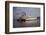 The Delta Queen Churning towards St. Louis-Bruno Torres-Framed Photographic Print