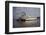 The Delta Queen Churning towards St. Louis-Bruno Torres-Framed Photographic Print