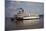 The Delta Queen Churning towards St. Louis-Bruno Torres-Mounted Photographic Print