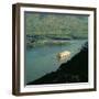 The 'Delta Queen', Mississippi River-null-Framed Giclee Print