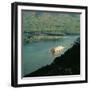 The 'Delta Queen', Mississippi River-null-Framed Giclee Print