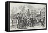 The Demonstration in Hyde-Park-John Leech-Framed Stretched Canvas