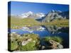The Dent Blanche and Ober Gabelhorn, Zermatt, Valais, Switzerland, Europe-Ruth Tomlinson-Stretched Canvas