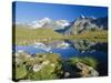 The Dent Blanche and Ober Gabelhorn, Zermatt, Valais, Switzerland, Europe-Ruth Tomlinson-Stretched Canvas