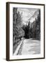 The Dent Du Midi from the Valley of the Rhone, 1900-Clifford Harrison-Framed Giclee Print