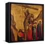 The Deposition of Christ from the Cross (Panel)-Arcangelo di Cola da Camerino-Framed Stretched Canvas