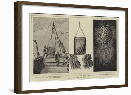 The Depths of the Sea-null-Framed Giclee Print