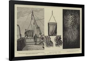 The Depths of the Sea-null-Framed Giclee Print