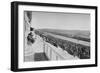 The Derby: View Down The Course, c1903, (1903)-WA Rouch-Framed Photographic Print