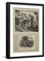 The Derwentwater Estates-null-Framed Giclee Print