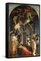 The Descent from the Cross-Rosso Fiorentino (Battista di Jacopo)-Framed Stretched Canvas