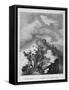 The Descent of Mount St Bernard, 1800-null-Framed Stretched Canvas